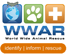 World Wide Animal Rescue