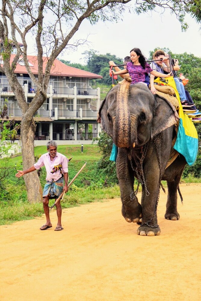 Rijden op een olifant in Sri Lanka